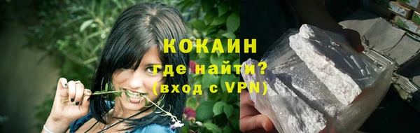 прущие грибы Беломорск