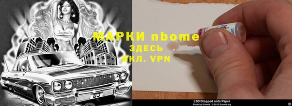 прущие грибы Беломорск