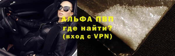 прущие грибы Беломорск