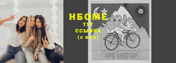 прущие грибы Беломорск