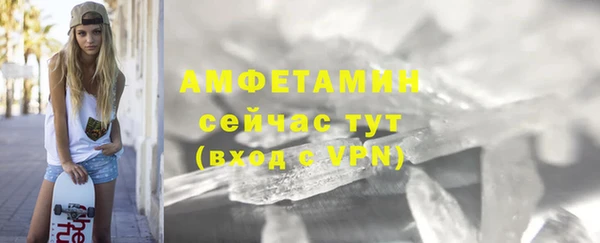 прущие грибы Беломорск