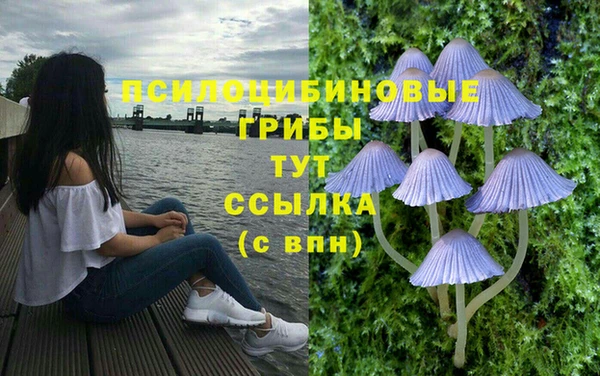 MESCALINE Вязники