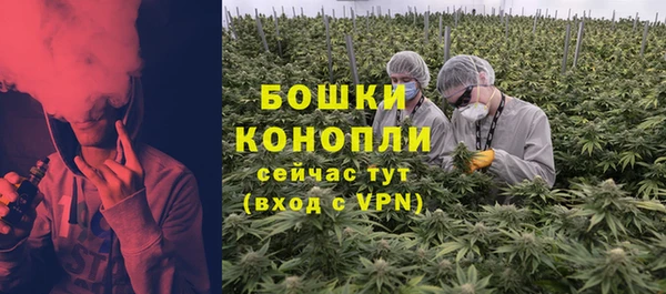 прущие грибы Беломорск