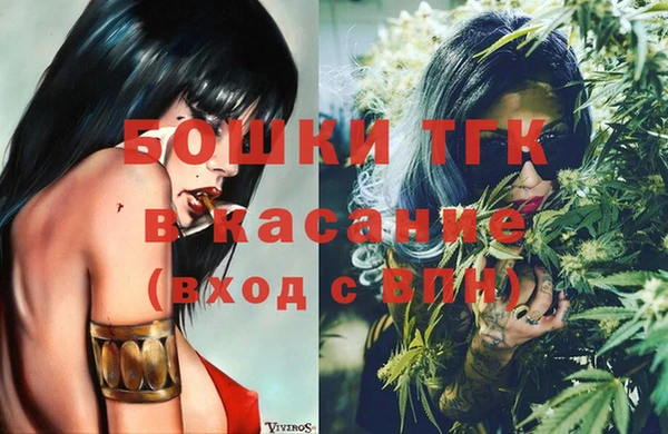 ECSTASY Белокуриха