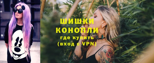 прущие грибы Беломорск