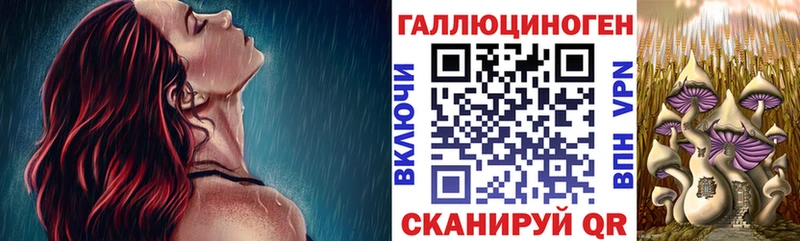 Псилоцибиновые грибы GOLDEN TEACHER  купить наркоту  Демидов 